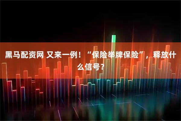 黑马配资网 又来一例!“保险举牌保险”,释放什么信号?
