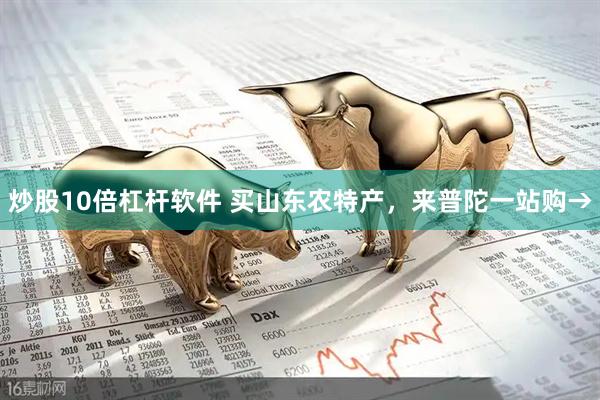 炒股10倍杠杆软件 买山东农特产,来普陀一站购→