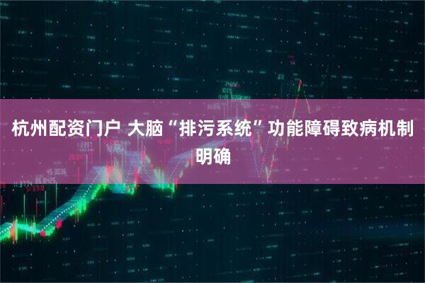 杭州配资门户 大脑“排污系统”功能障碍致病机制明确